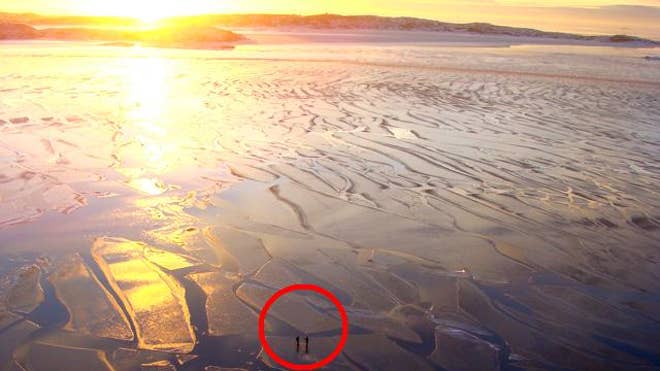 Rescued from ice floe
